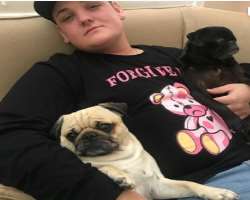He has adopted two pugs in his home.